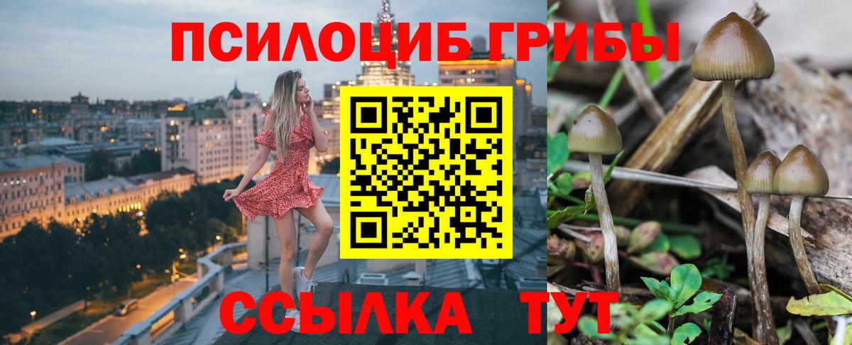 Галлюциногенные грибы мухоморы Кумертау